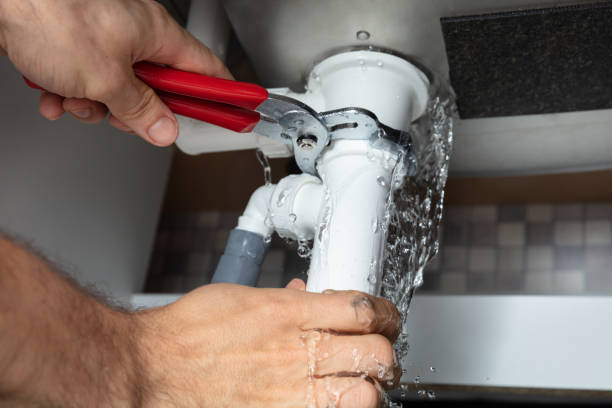 Best Water damage cleanup near me  in Woodridge, IL