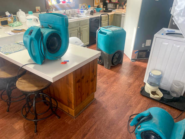 Best Carpet water damage restoration  in Woodridge, IL