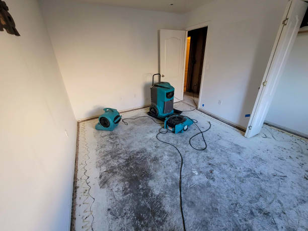 Best Professional water damage repair  in Woodridge, IL