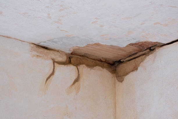 Best Water damage cleanup near me  in Woodridge, IL