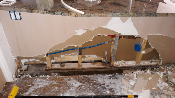 Best Flood restoration services  in Woodridge, IL