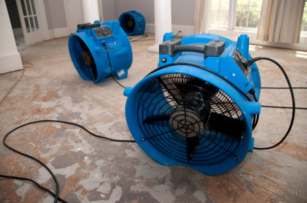 Best Local water damage restoration  in Woodridge, IL