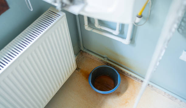 Trusted Woodridge, IL Water damage restoration Experts
