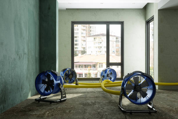 Best Water damage restoration experts  in Woodridge, IL